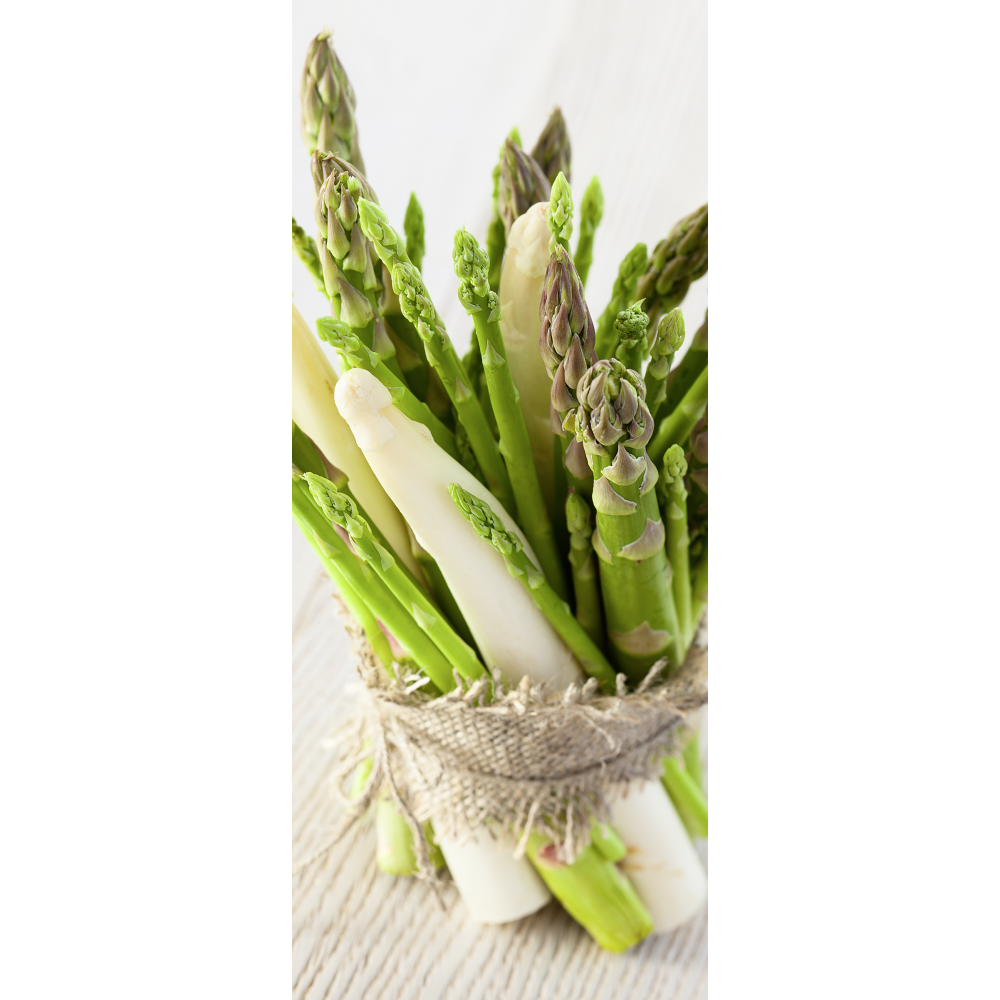 [0683984] banner 'asparagus'