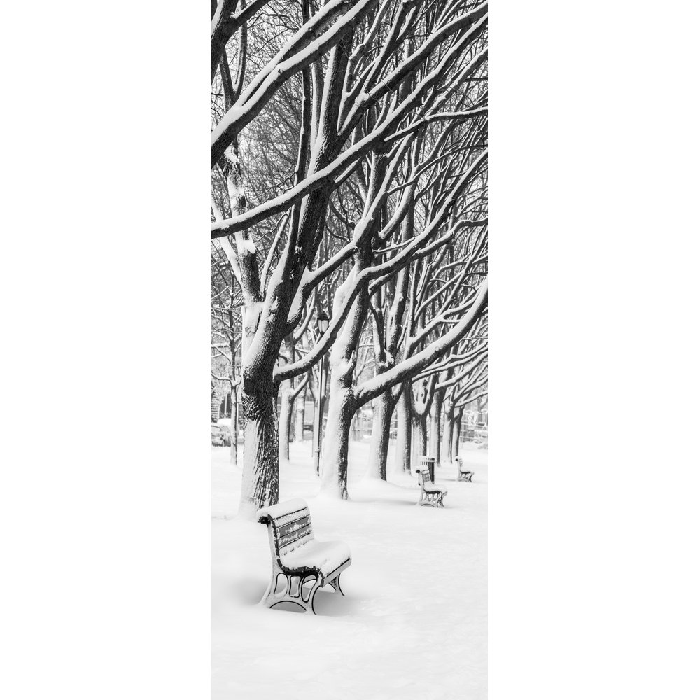 [0683890] banner 'banquette, arbres, neige'