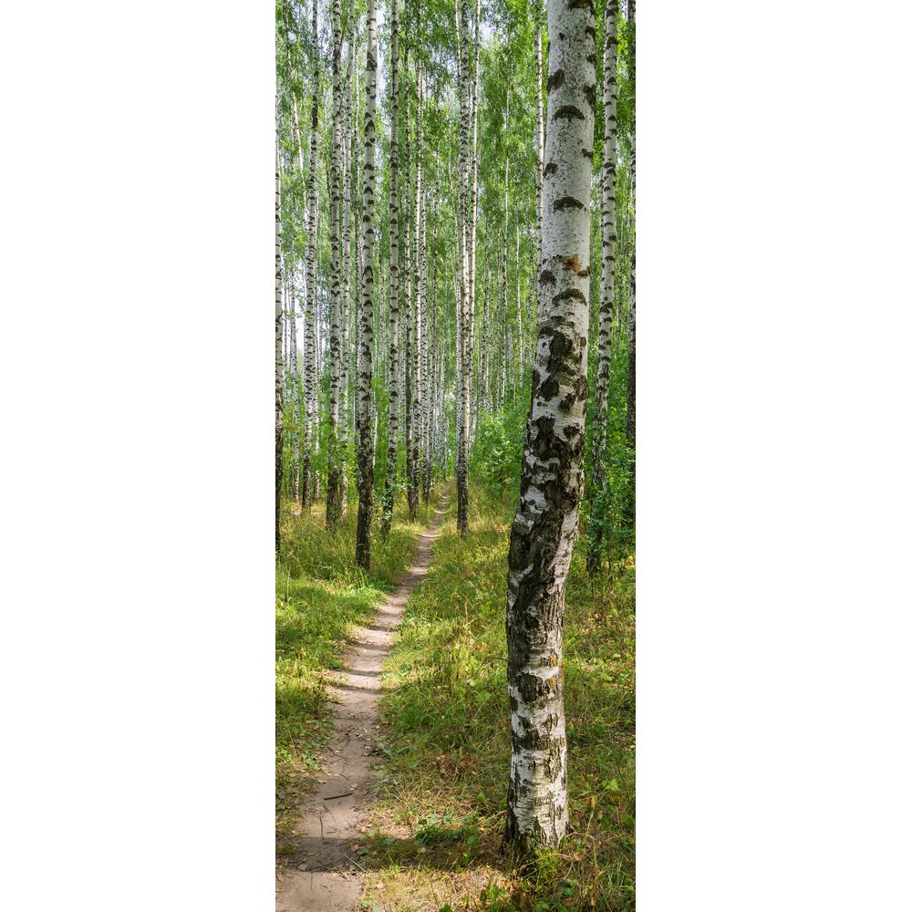 [0683856] banner 'berkenbos'