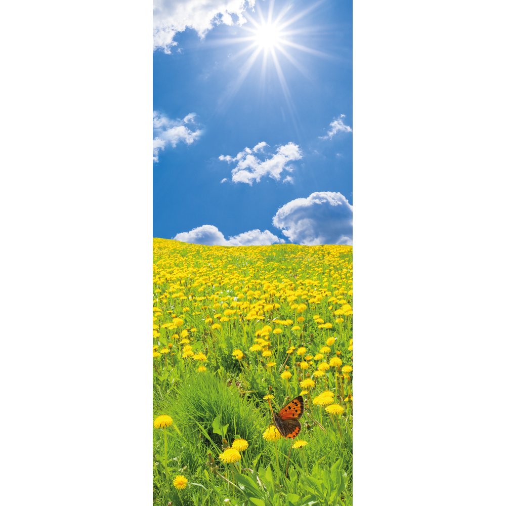 [0683912] banner 'flowers+butterfly'