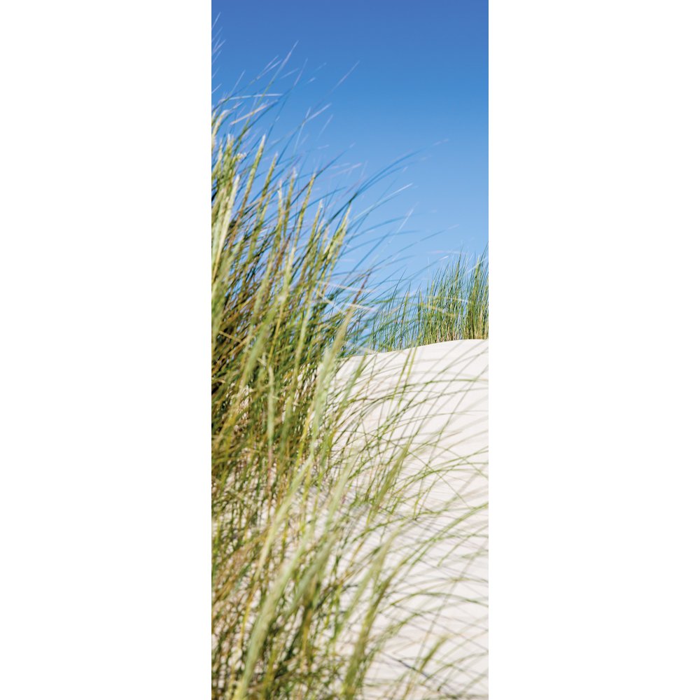 [0683843] banner 'dunes and grass'