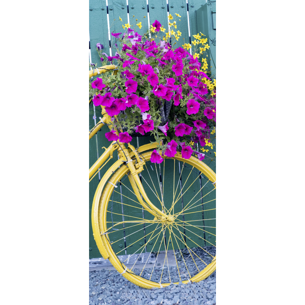 [0683972] banner 'fiets met bloemen'