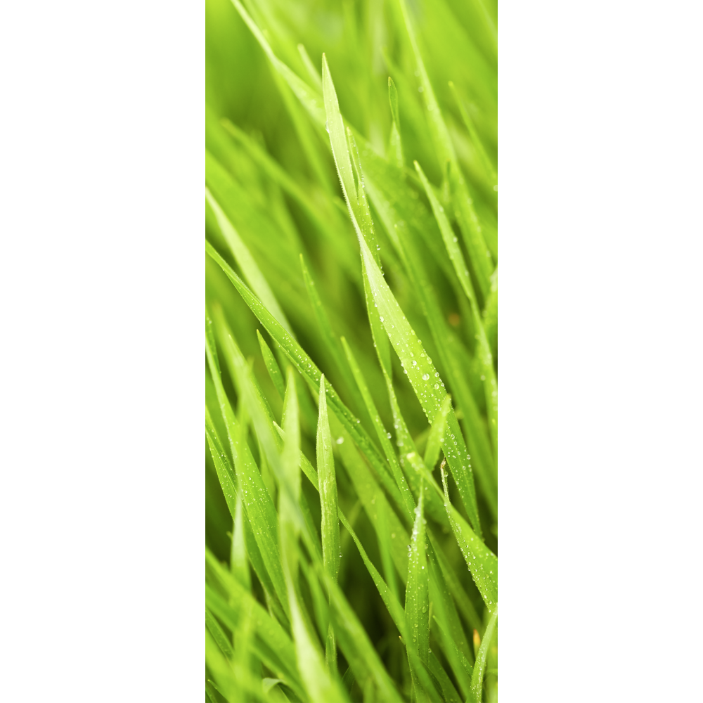[0683971] banner 'herbe'