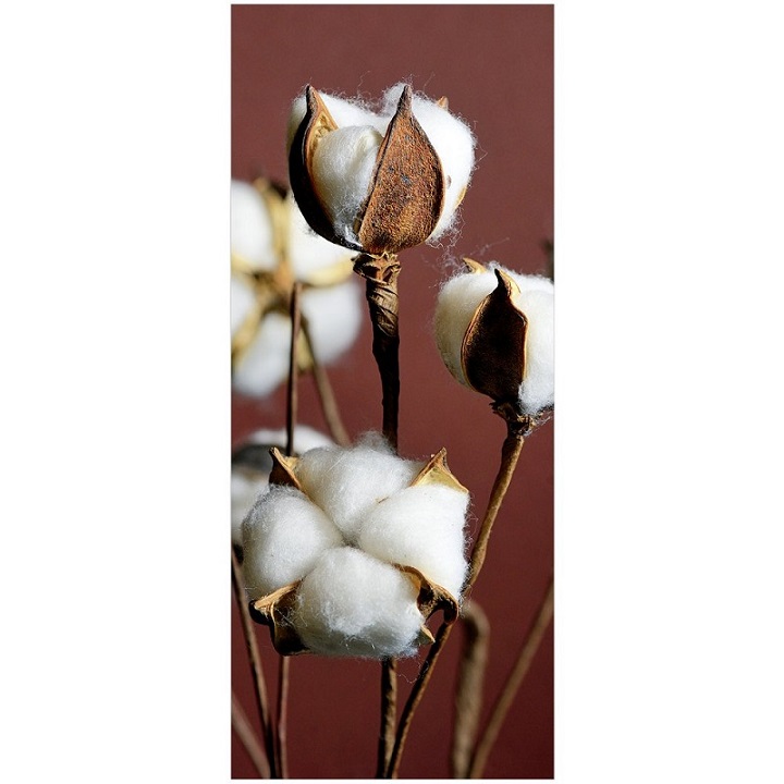 [0683955] banner 'branche coton'