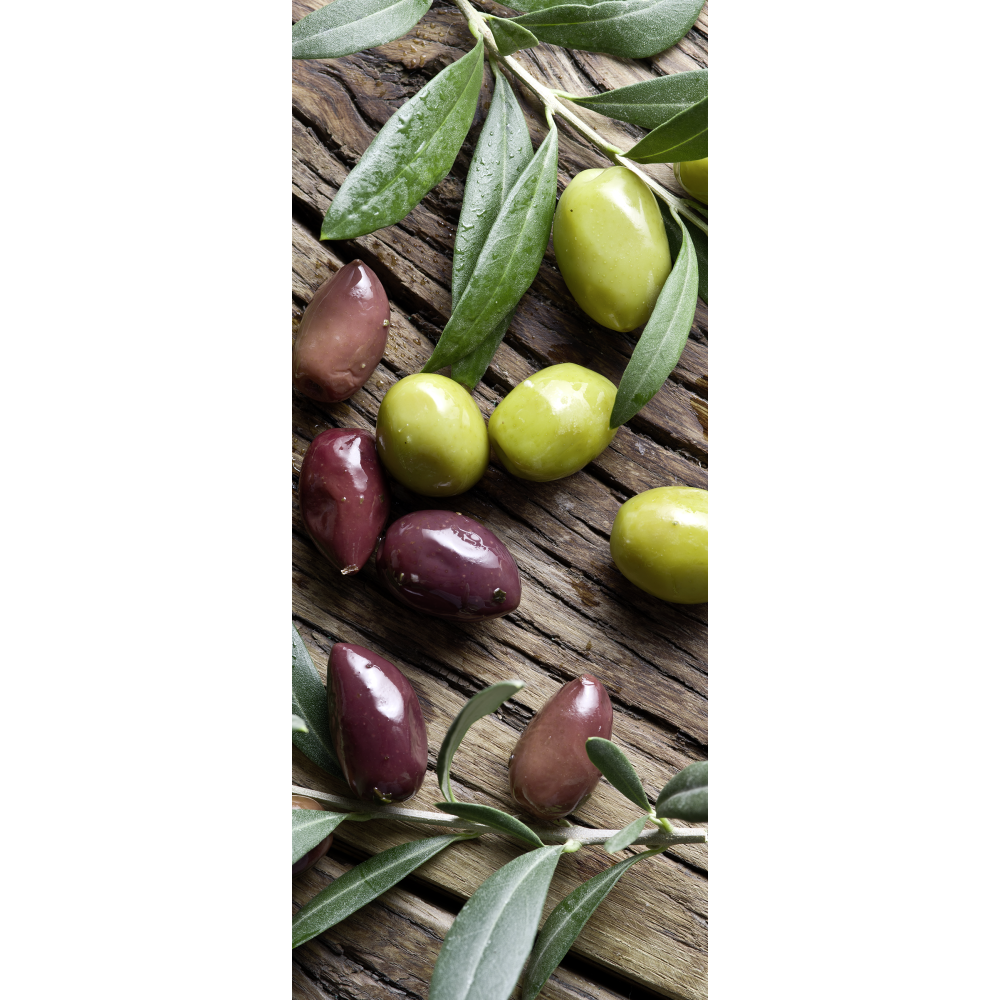 [0683983] banner 'olives'