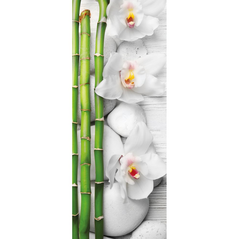 [0683918] banner 'orchidée'