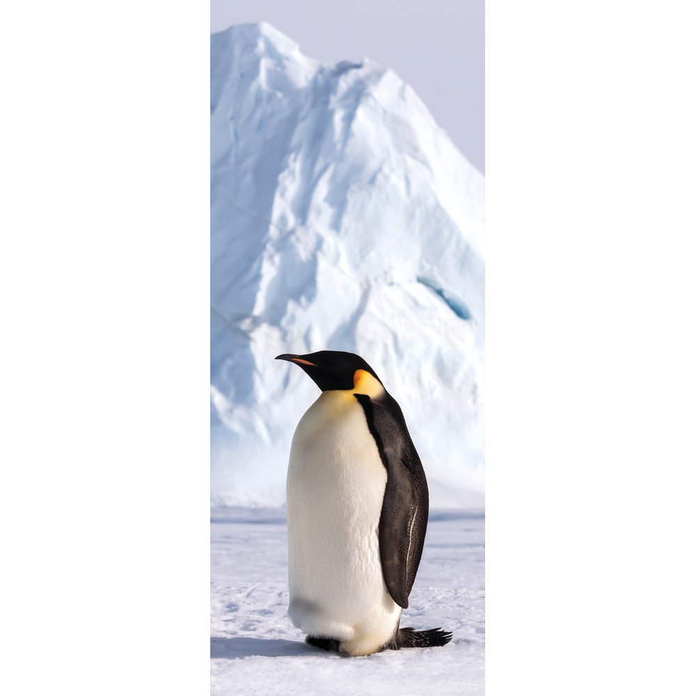 [0683899] banner 'penguin'