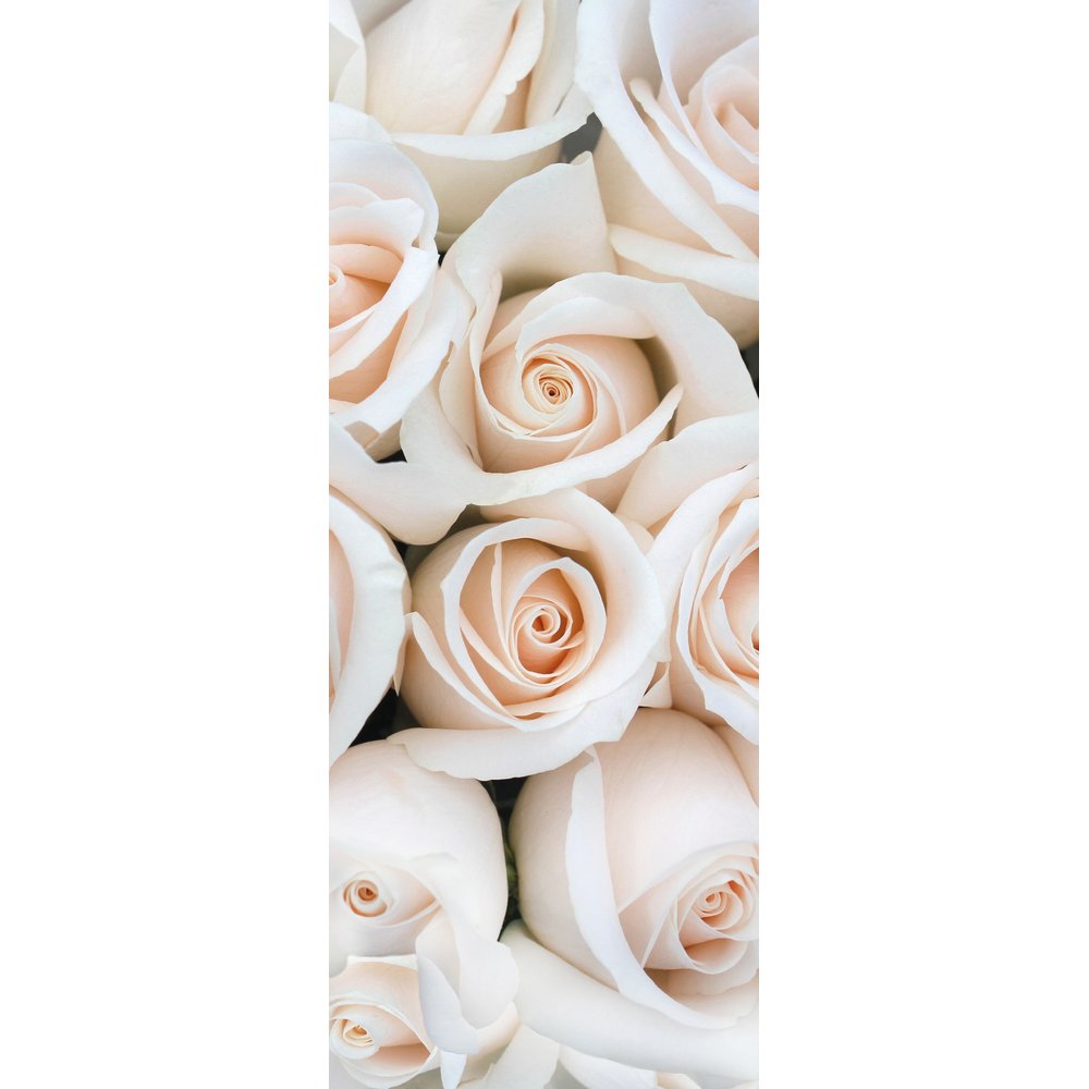[0683914] banner 'rose head'