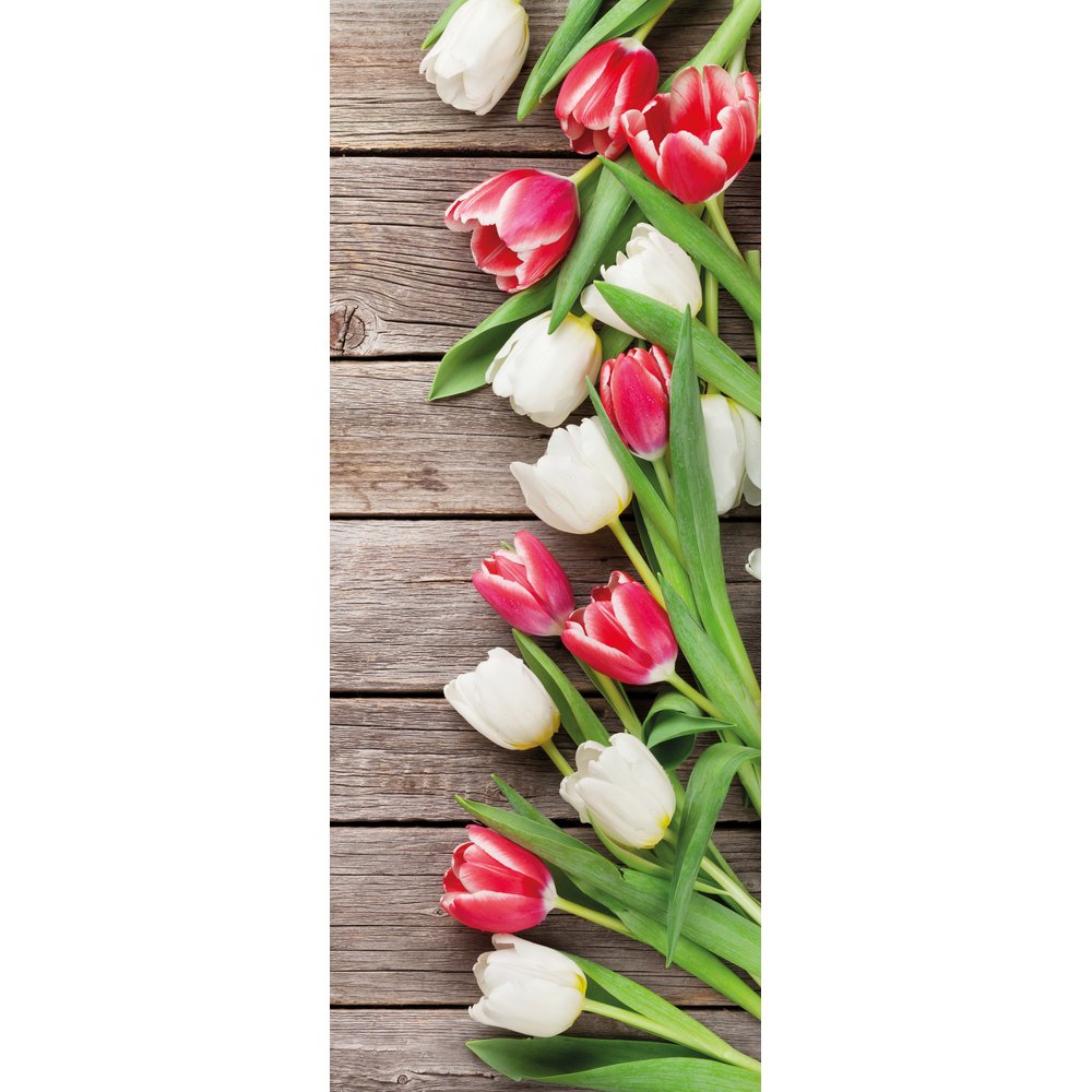banner 'tulips'