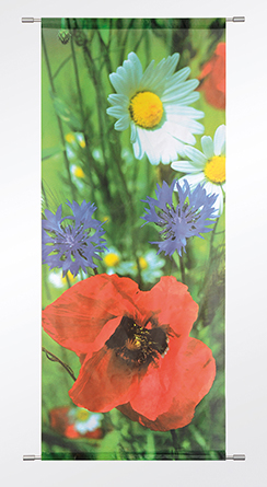 [0683836] banner 'fleurs de champs'