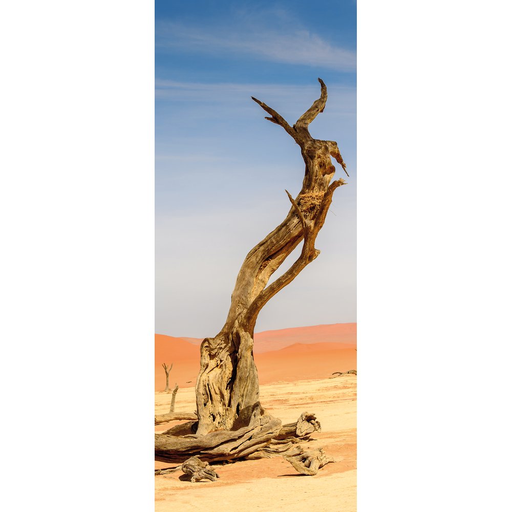 [0683920] banner 'désert + arbre'