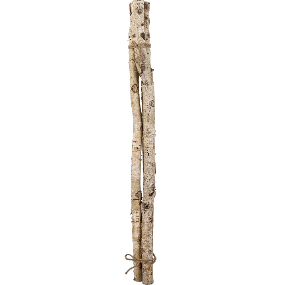 [0682878] birch branches (Ø2-5x100cm)