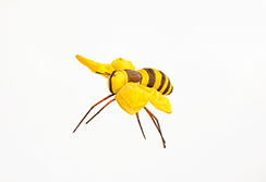 abeille 'paper' M