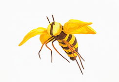 abeille 'paper' XL