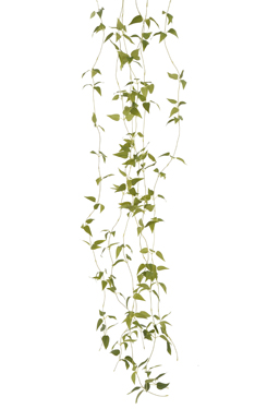 [0043396] guirlande de feuilles
