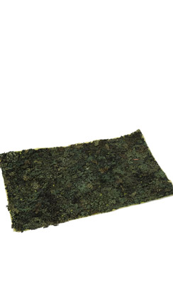 [0682066] leaf moss plate (green)