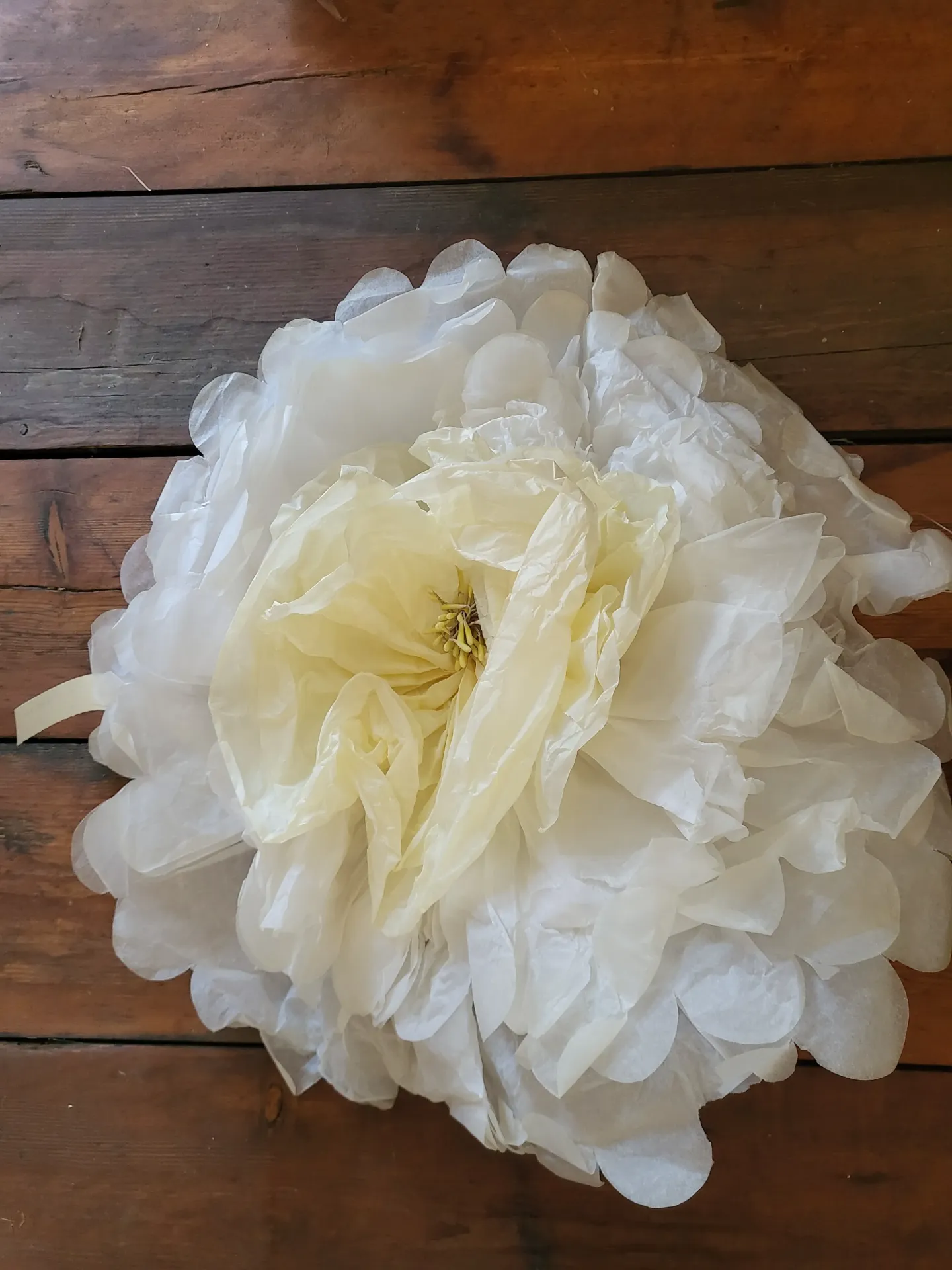 bloem papier