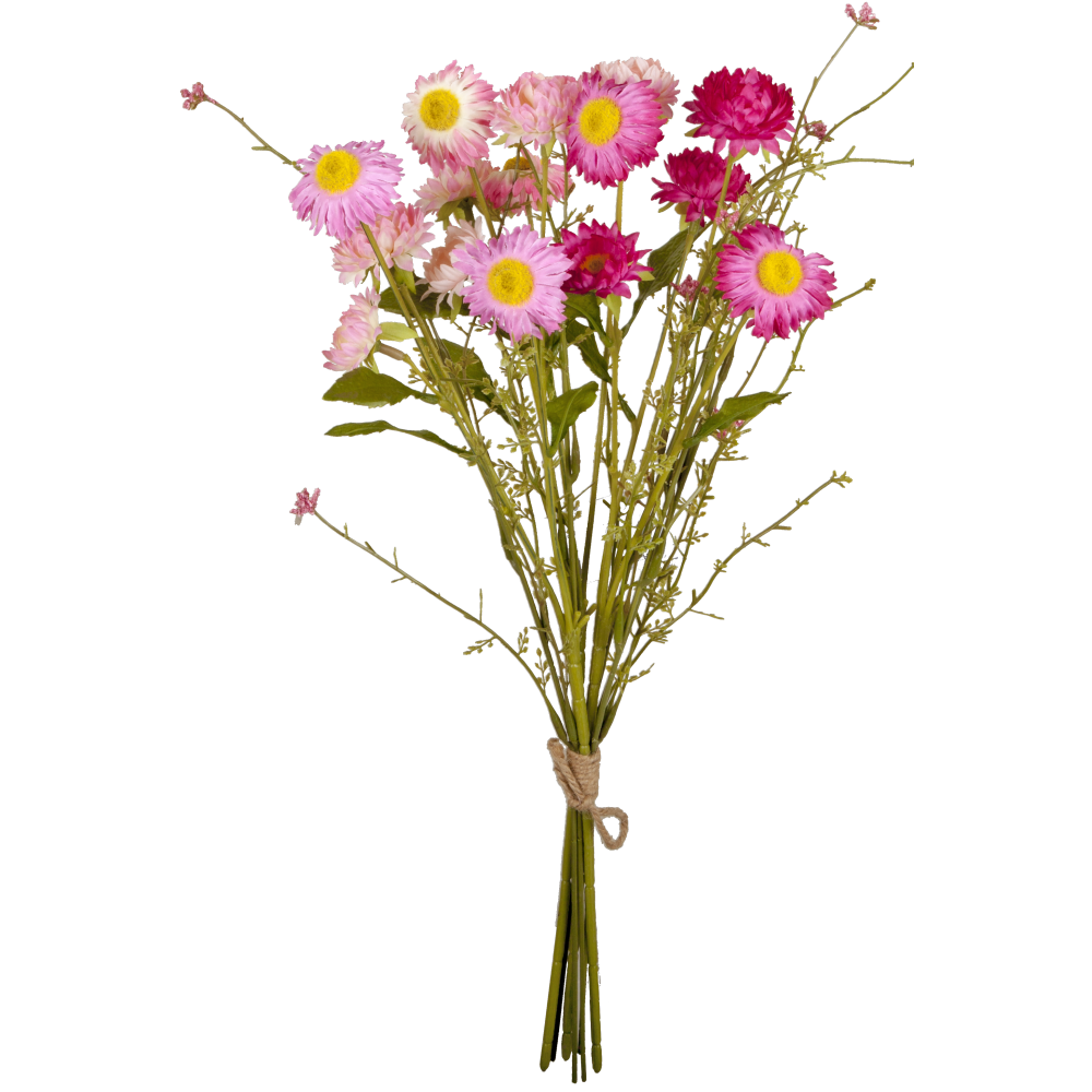 bush straw flowers
