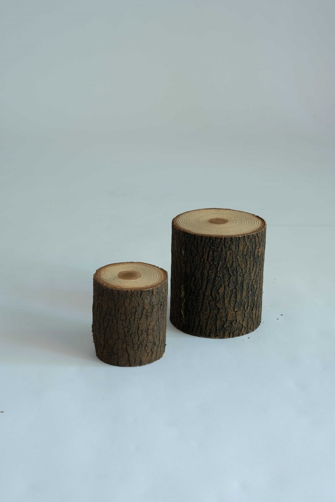 [0686227] tronc d'arbre avec écorce (brun, Ø12xh.13cm)
