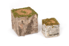 square tree trunc