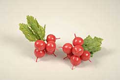 bundle of 6 radishes