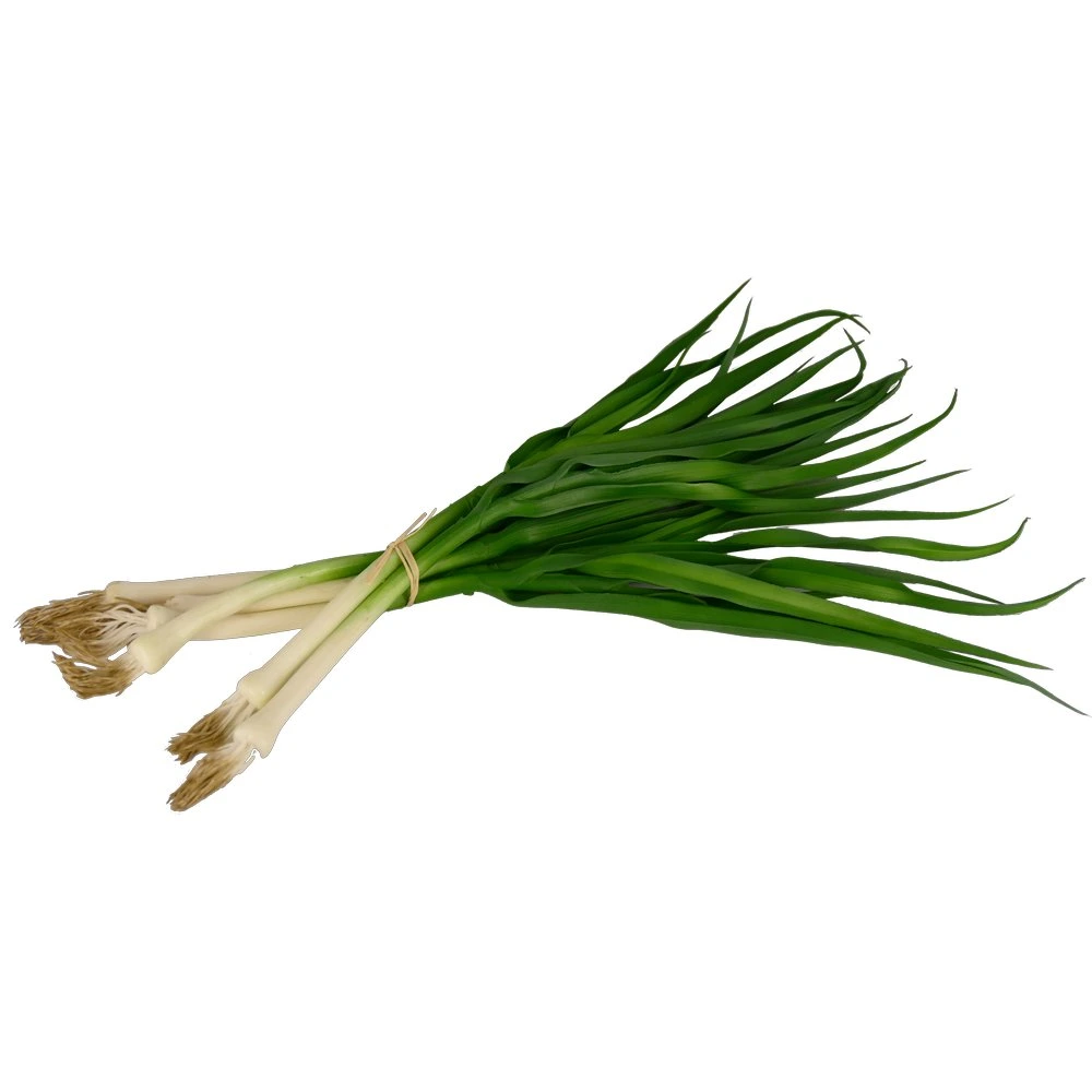 bundle of spring onions