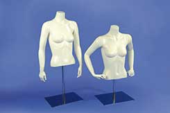 [0097733] female bust '6th Avenue'