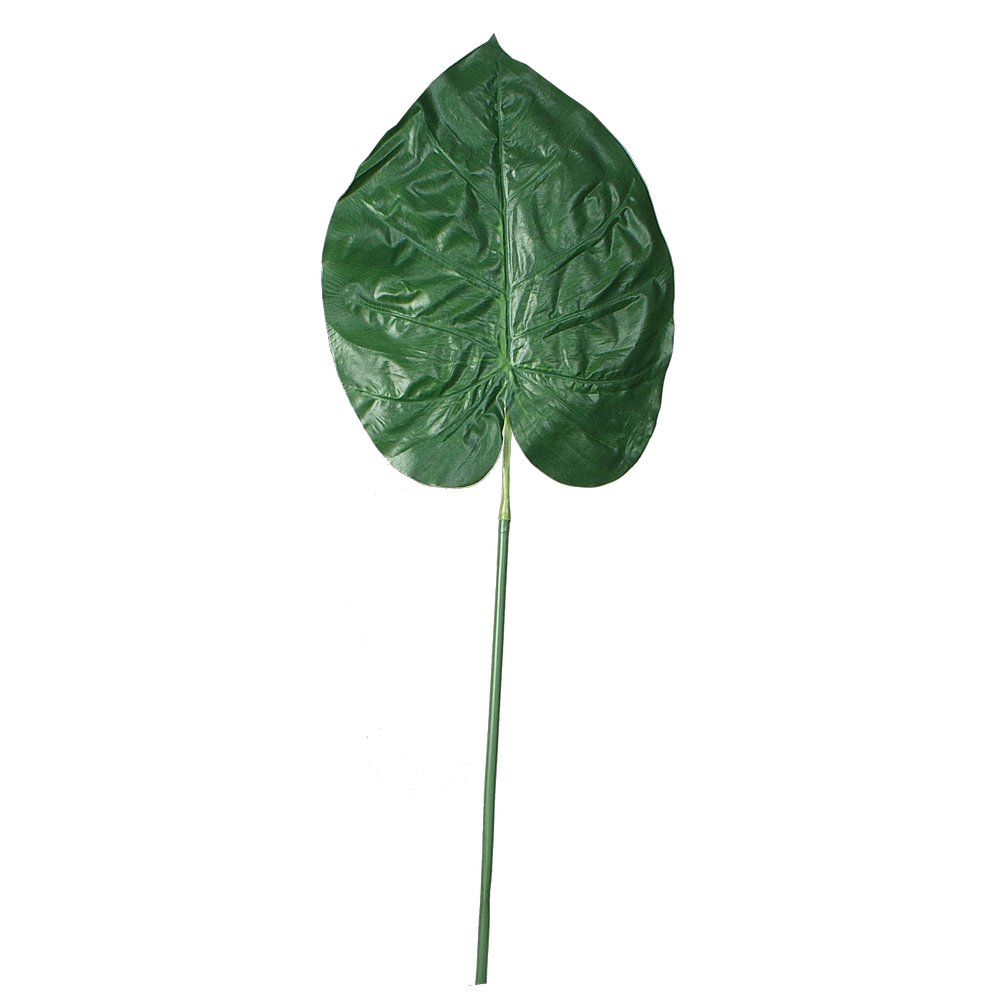 [0688411] caladiumblad 'olifantsoor'