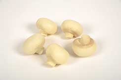 mushrooms