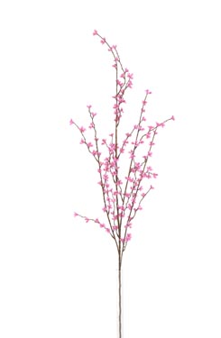 cros plum branch