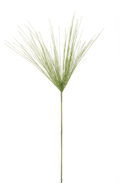 cyperustak