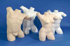 [0077030] female torso 'modern'