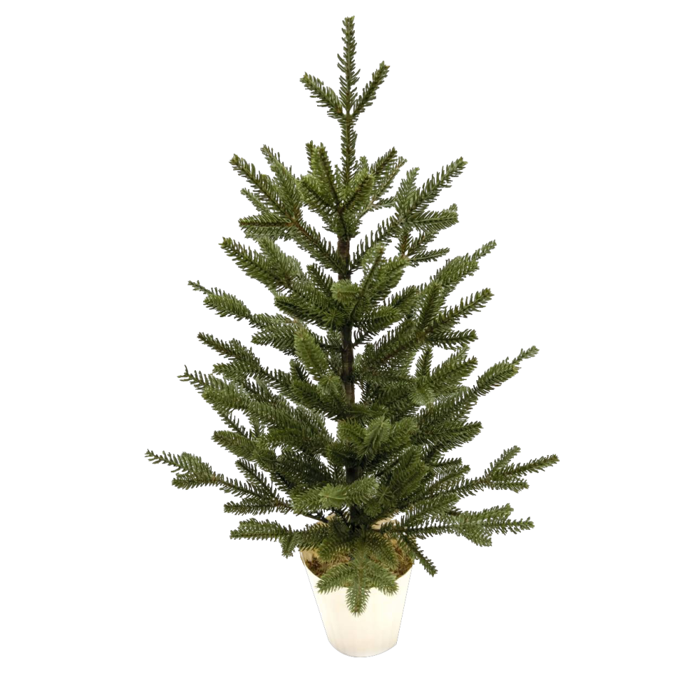 [1040936] pine tree in pot