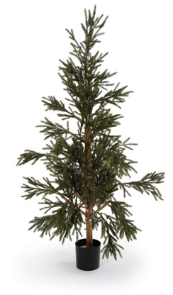 [0688606] pine 'pinus' (150cm)