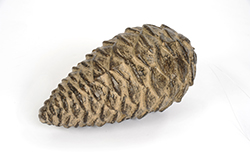 [0043311] pine cone L