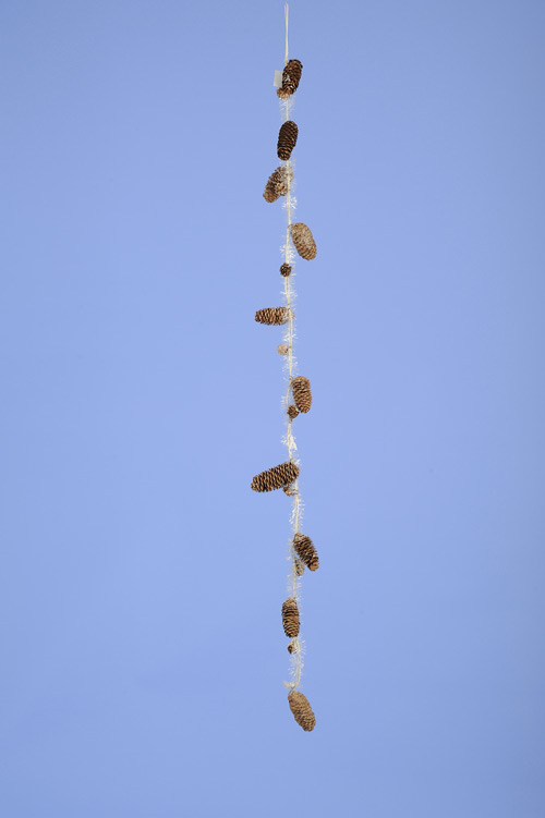 [0682612] guirlande pommes de pin + neige