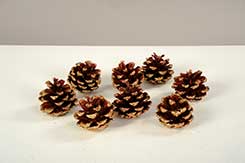 pine cones with glitter