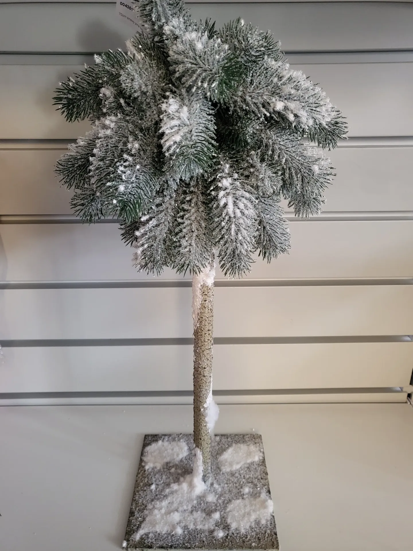 dennenboom, besneeuwd 