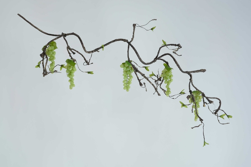 [0043542] vine with grapes (green)