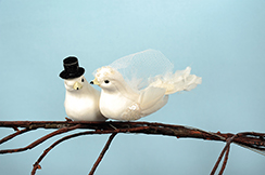 [0684511] pigeon pair with hat and veil