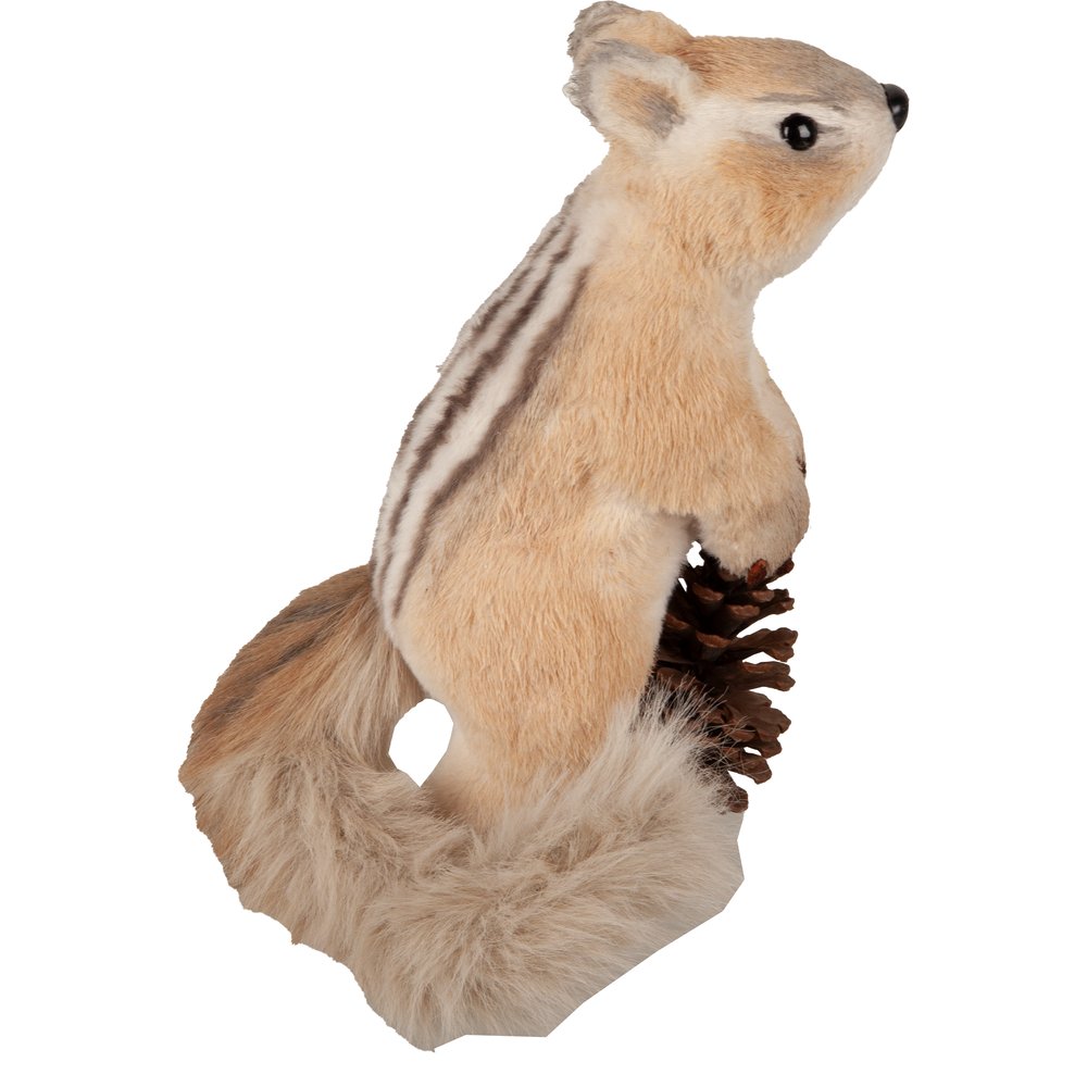 [0685977] squirrel 'skip' standing