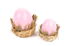 oeuf dans nid