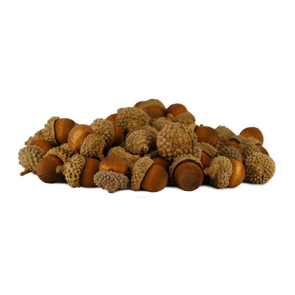 [0686076] acorns