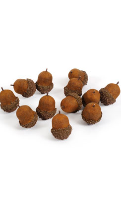 [0686075] acorns 'XL'