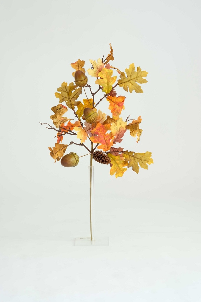 [0043506] oak branch + acorns