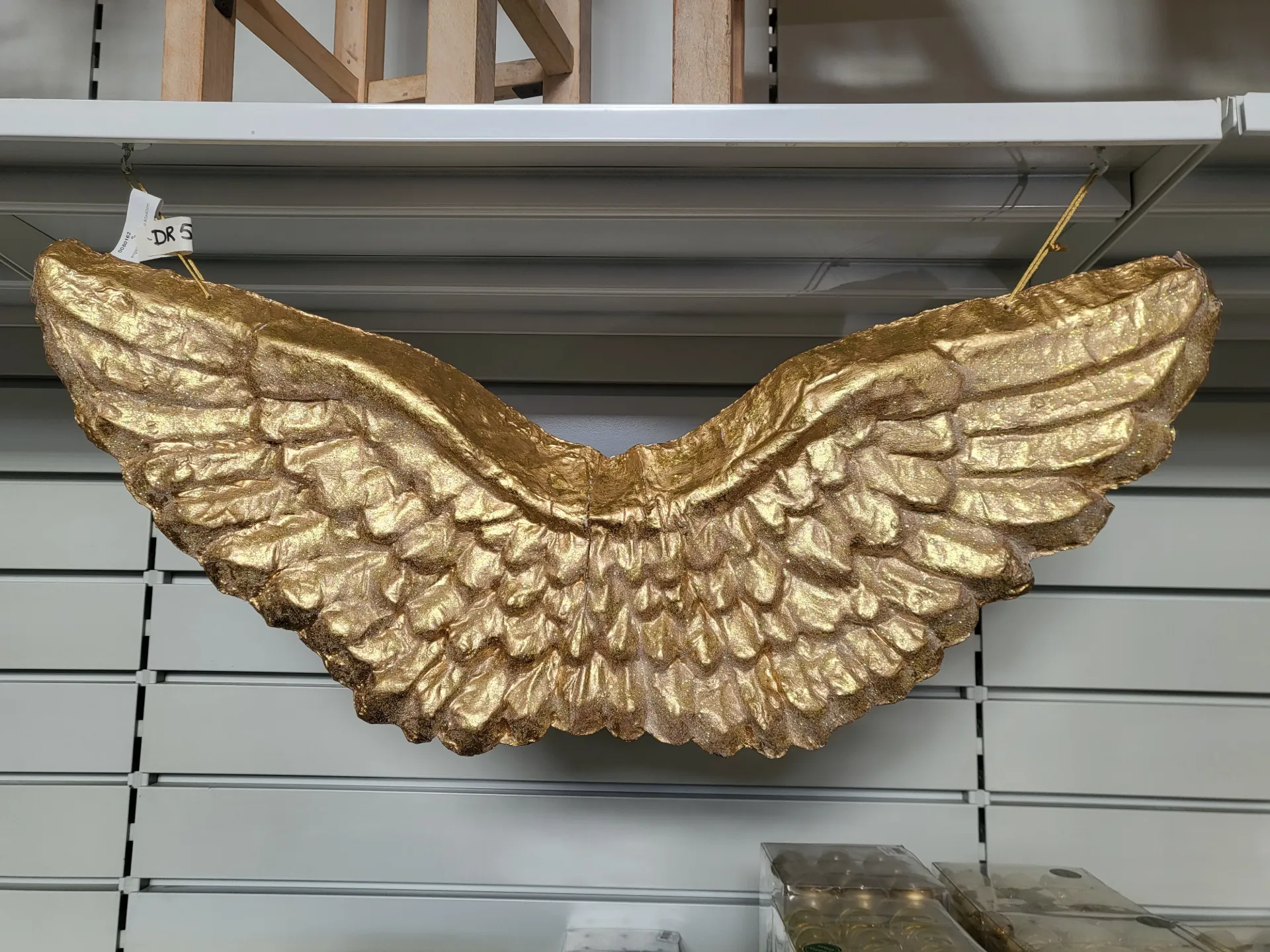 [0050162] angel wing pm