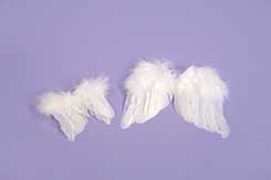 [0684956] angel wings (12cm)