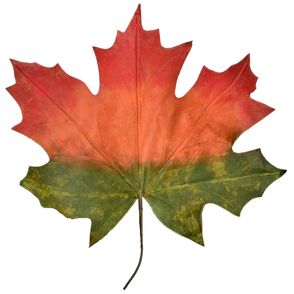 [0682820] maple leaf 'XXL' (brown/burgundy)