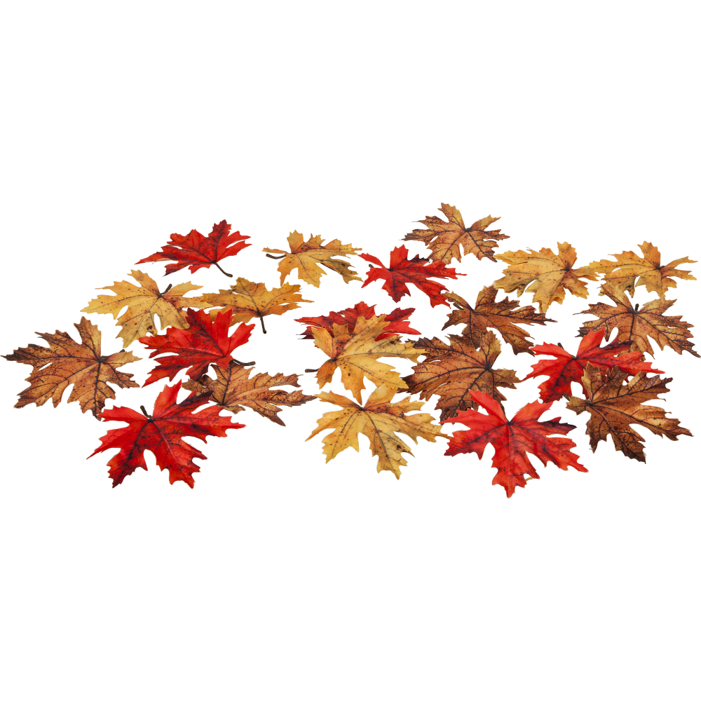 [0685777] feuilles d'érable mix