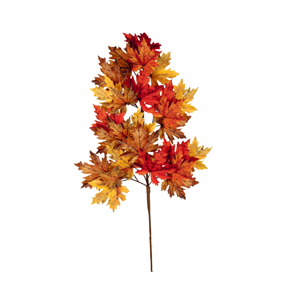 [0685776] branch maple leaves big